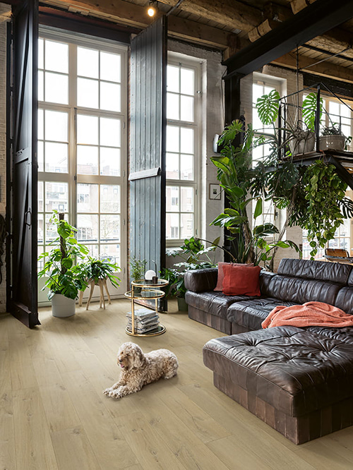 Lichte eiken laminaatvloer in een ruime woonkamer met industrieel karakter